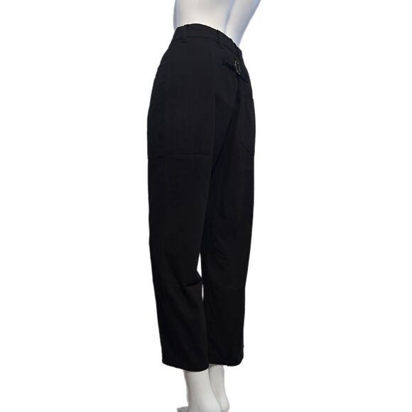 Free People Pants - NWT Free People X Sandrine Rose Slouchy Pants (28)